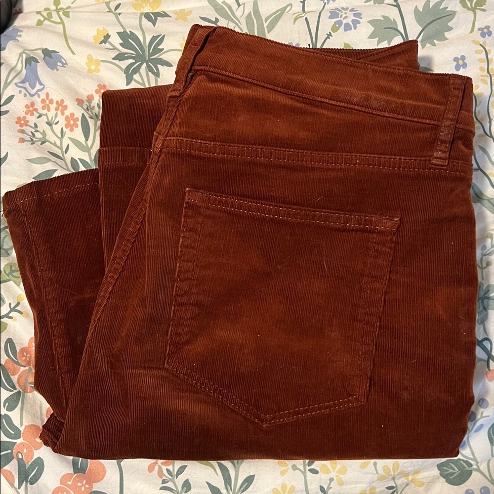 Rust Corduroy Pants - LOFT Outlet